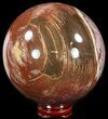 Colorful Petrified Wood Sphere #49753-1